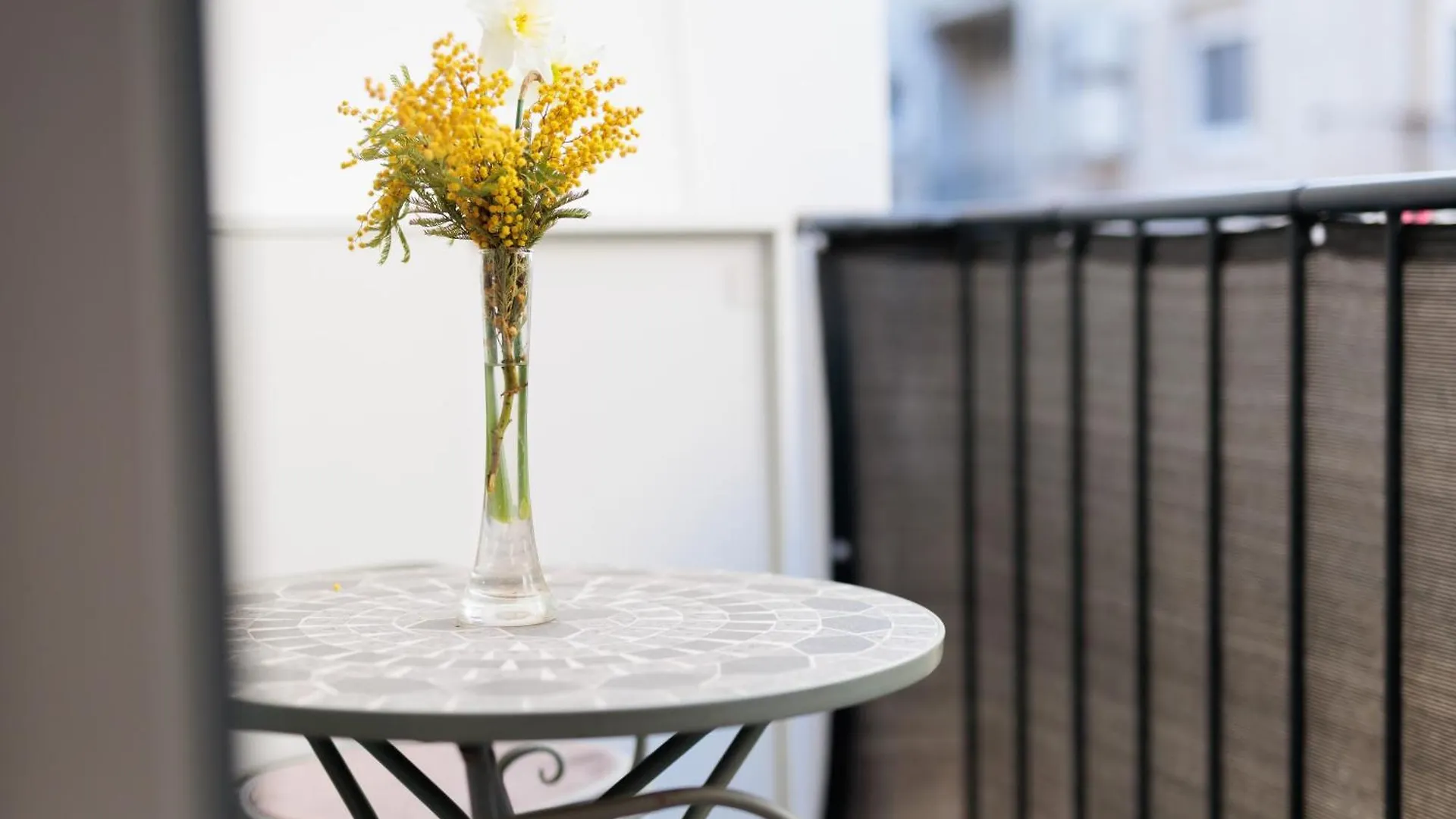 Zarina Apartment - Old Town Center زادار